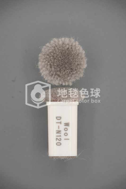 DT N120