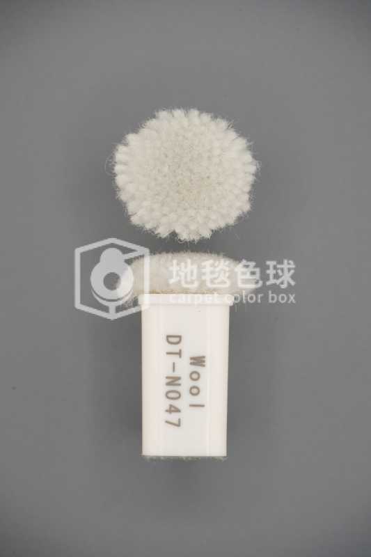 DT N047
