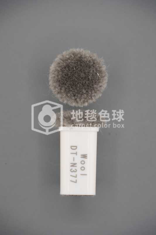 DT N377