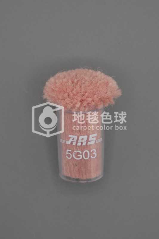 ARS 5G03