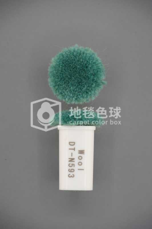 DT N593