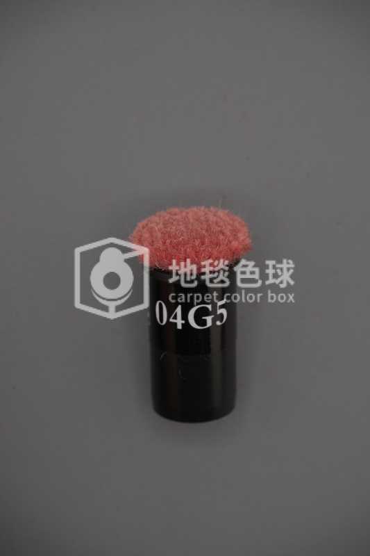04G5