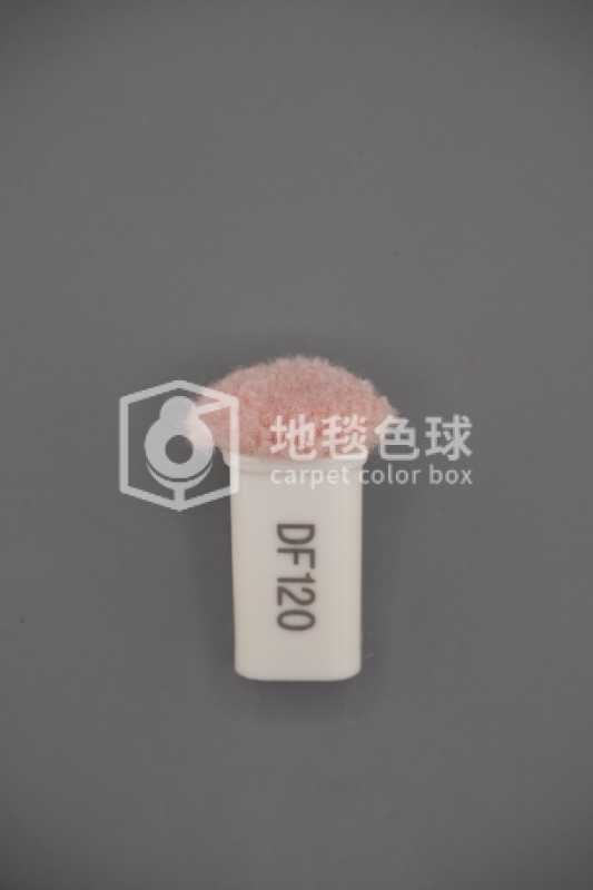 DF120