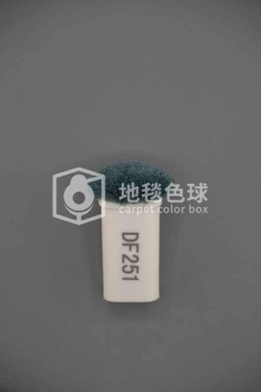 DF251