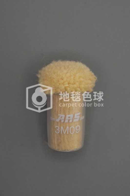 ARS 3M09