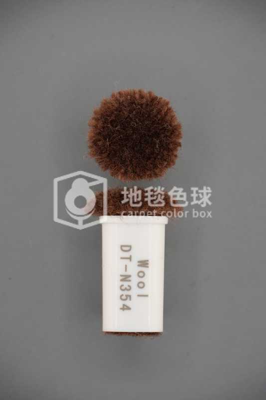 DT N354
