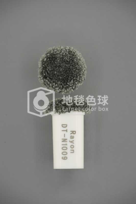 DT N1009