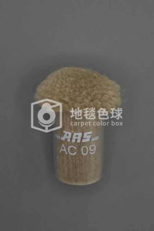 ARS AC09