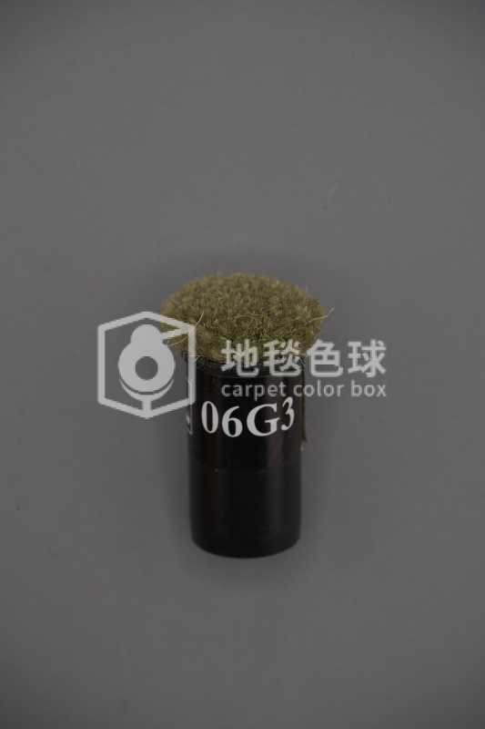 06G3