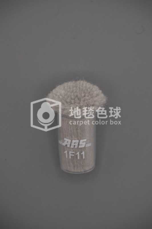 ARS 1F11