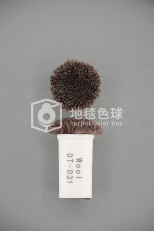 DT 031