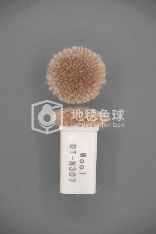 DT N307