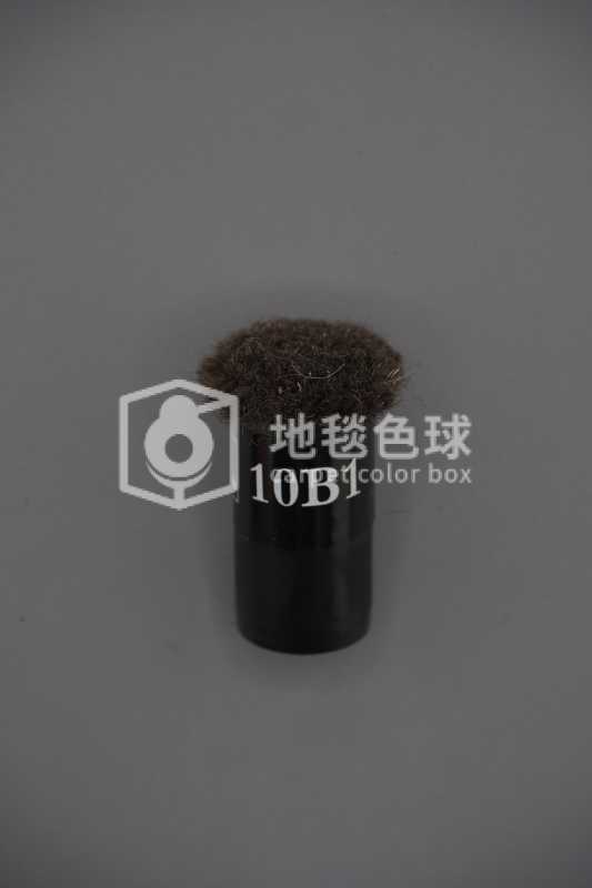 10B1