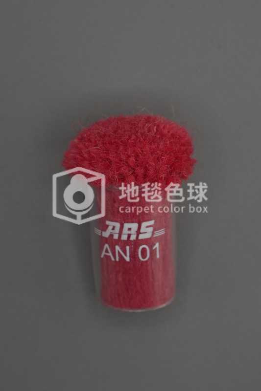 ARS AN01