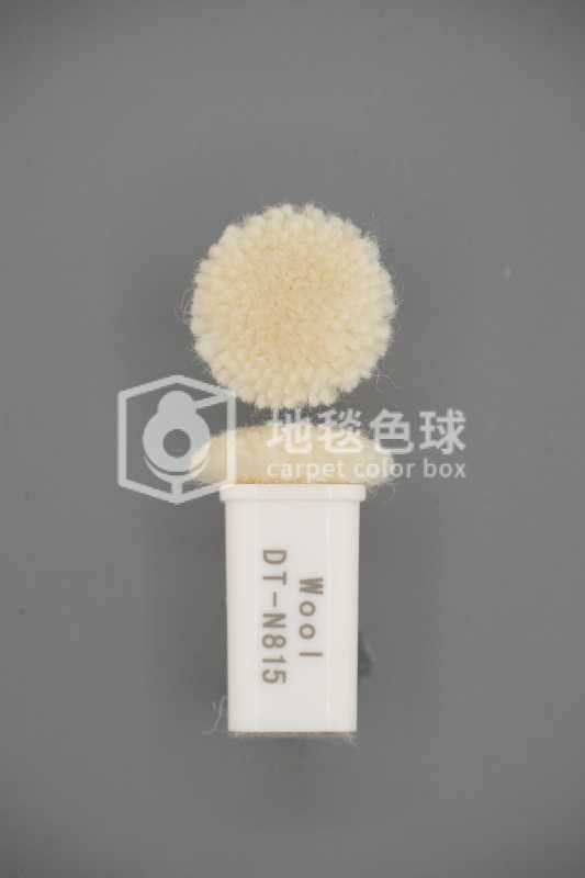 DT N815