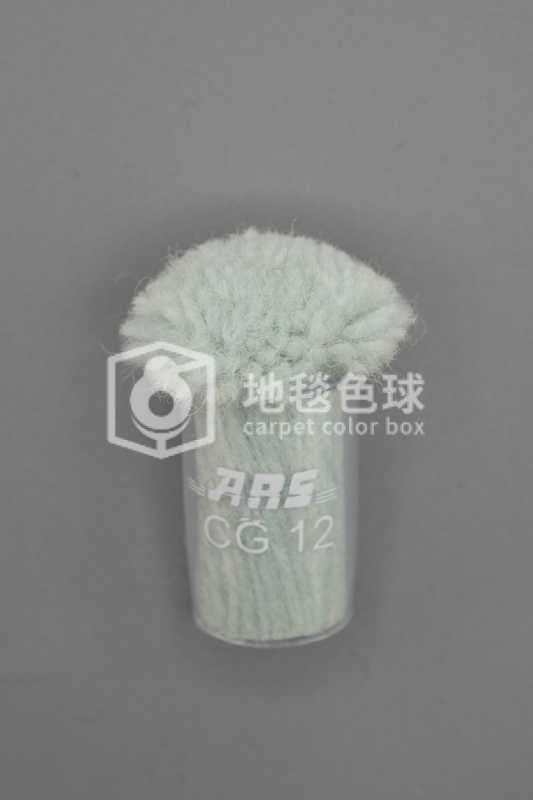 ARS CG12