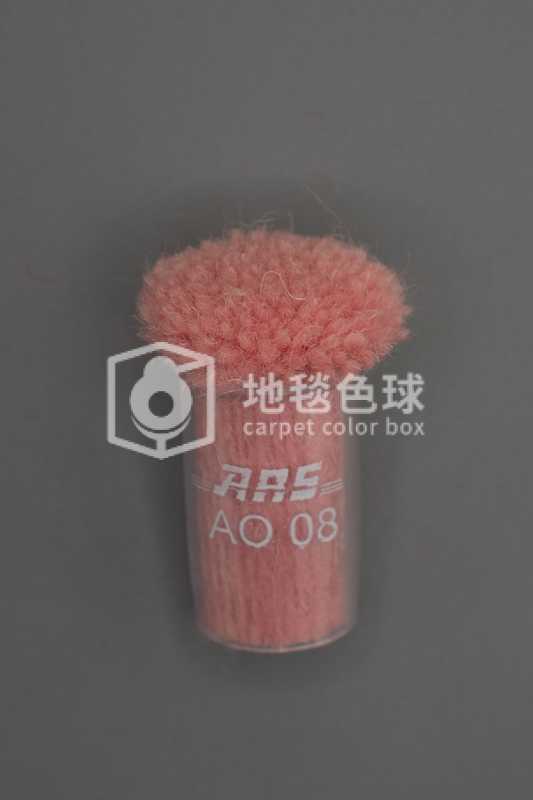 ARS AO08