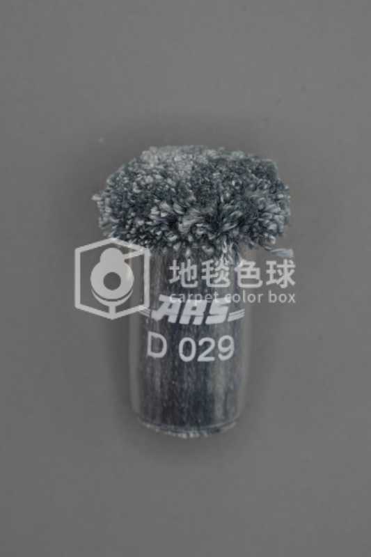 ARS D029