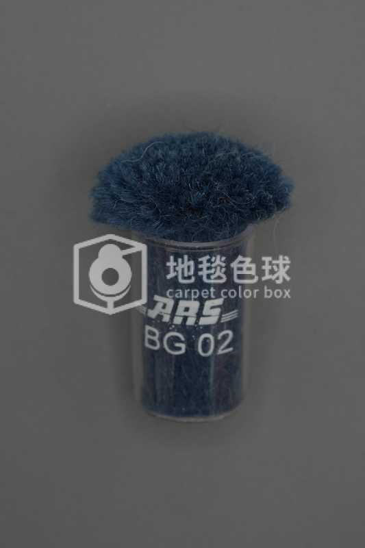 ARS BG02