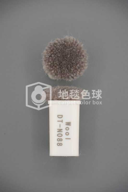 DT N088