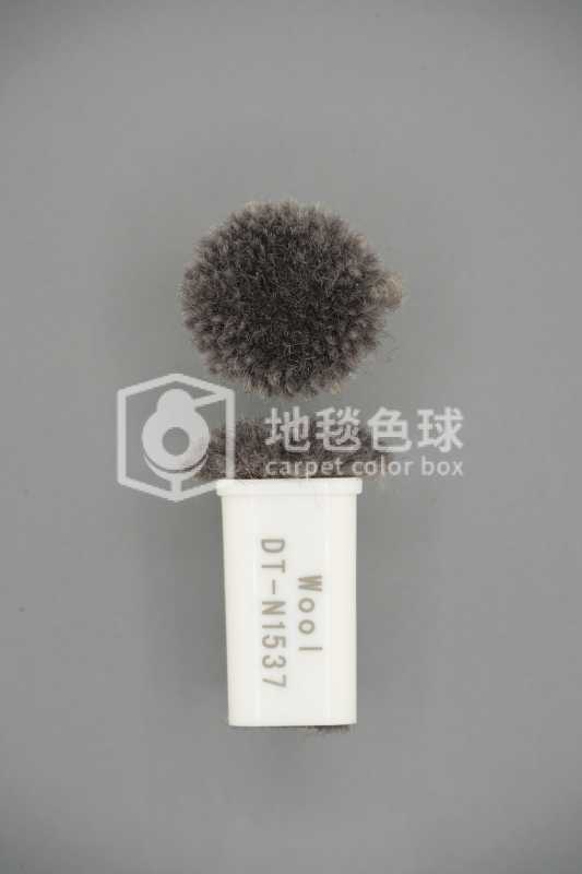 DT N1537