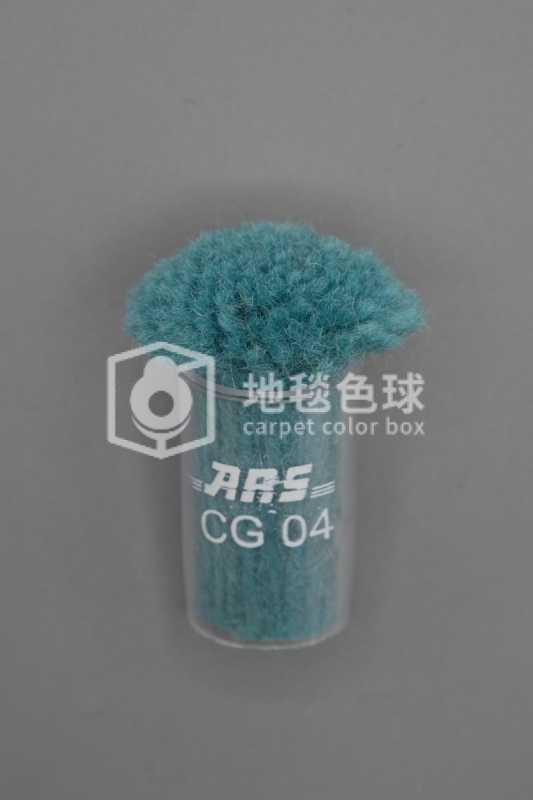 ARS CG04