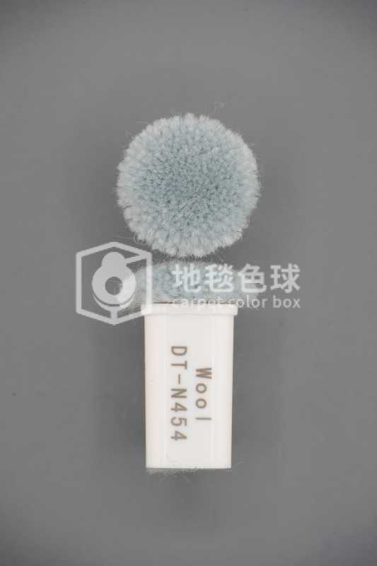 DT N454