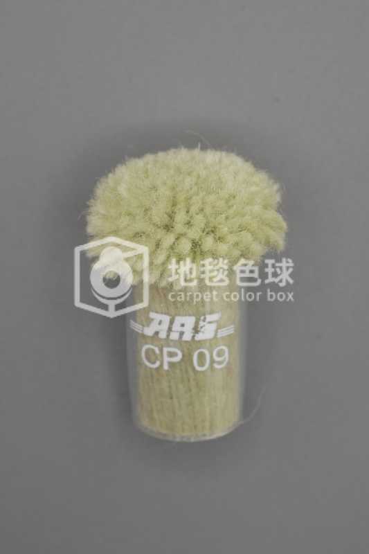 ARS CP09