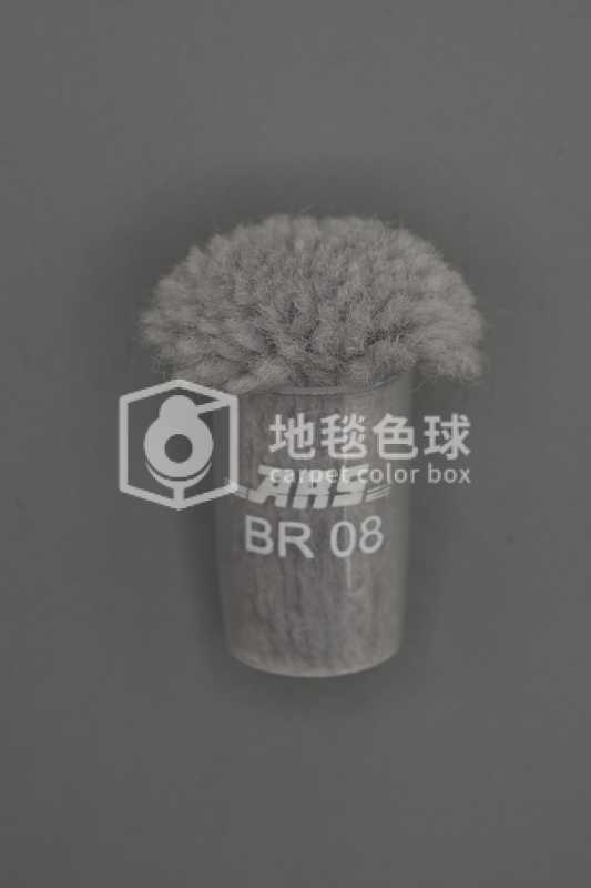 ARS BR08