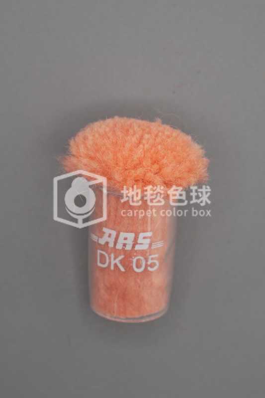 ARS DK05
