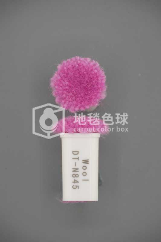 DT N845