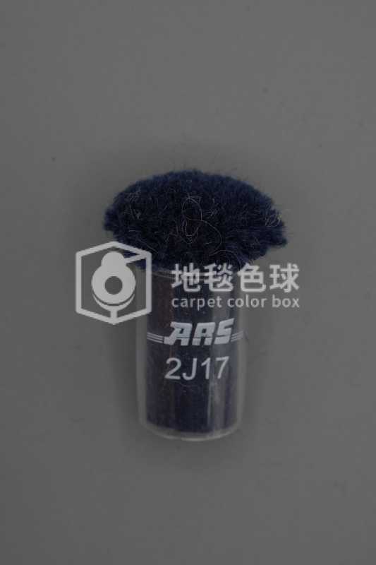 ARS 2J17