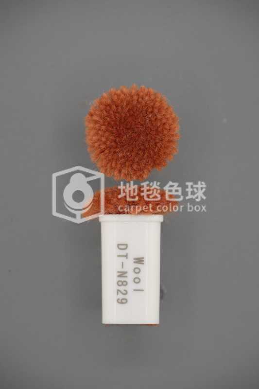 DT N829