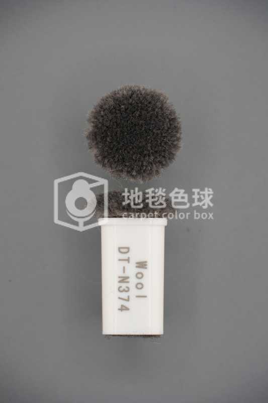 DT N374