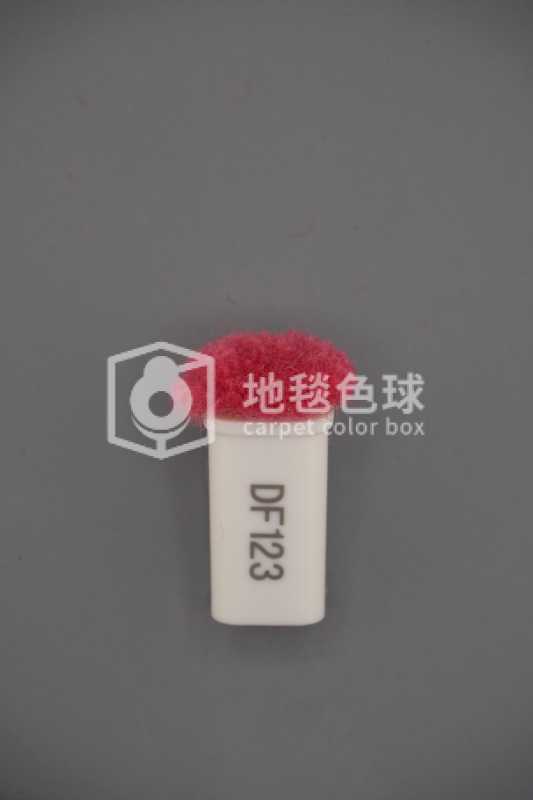 DF123