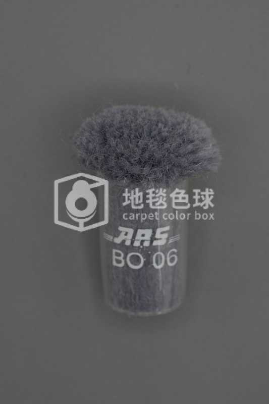 ARS BO06