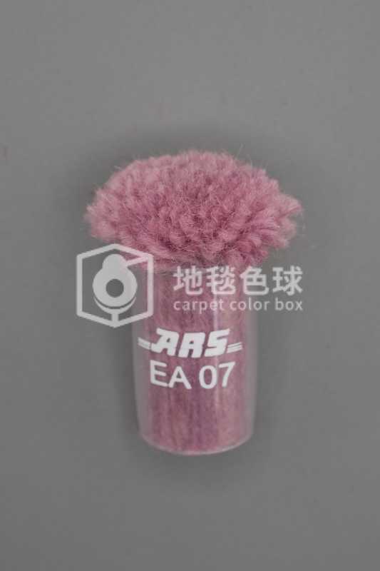 ARS EA07
