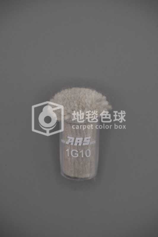 ARS 1G10