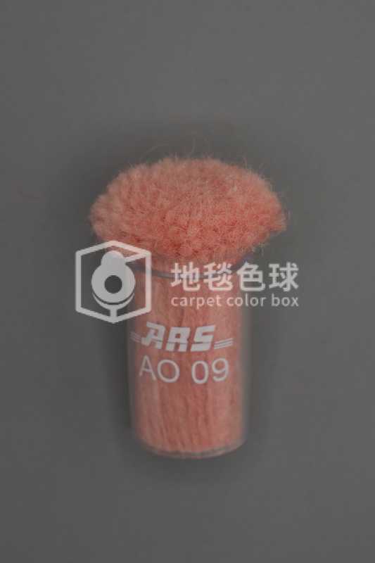 ARS AO09