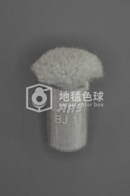 ARS BJ11