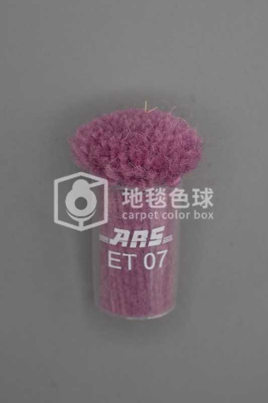 ARS ET07