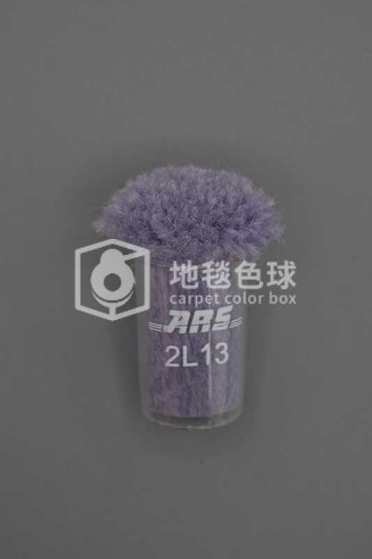 ARS 2L13