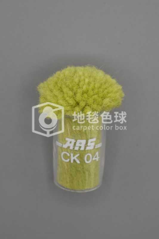 ARS CK04