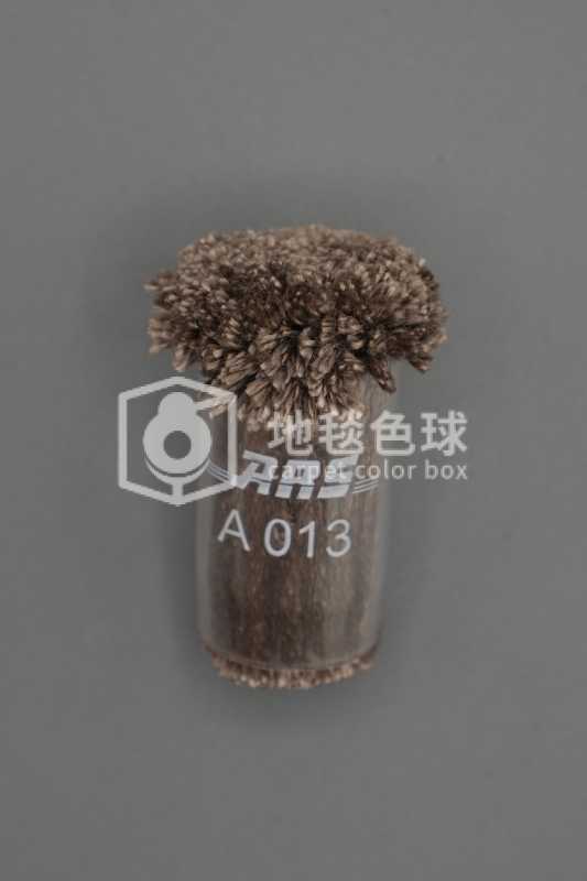 ARS A013