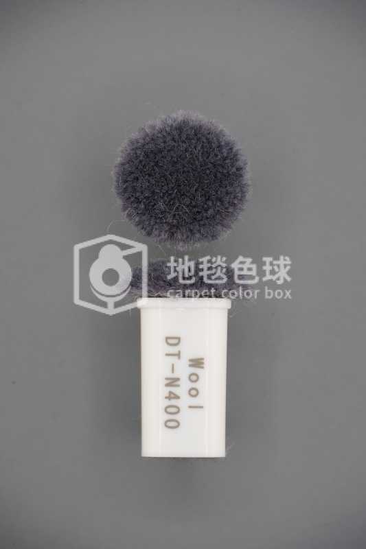 DT N400
