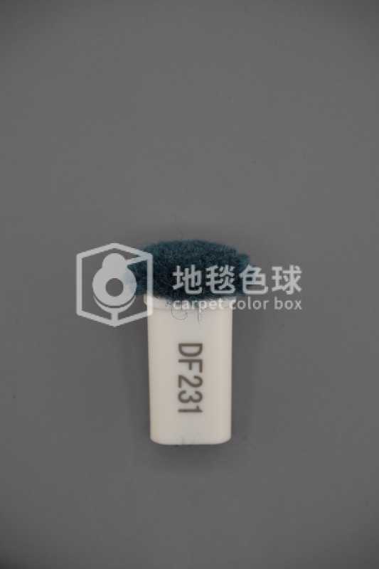 DF231