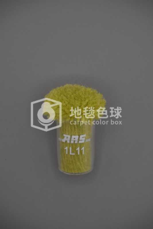ARS 1L11