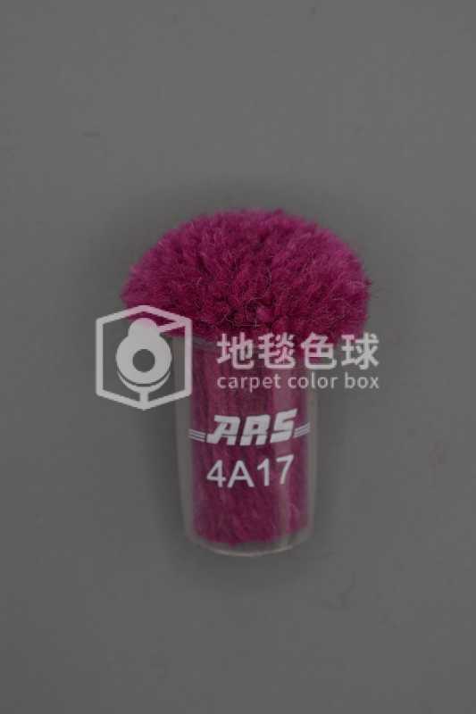 ARS 4A17