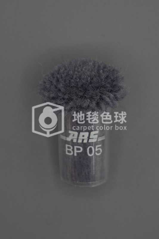 ARS BP05