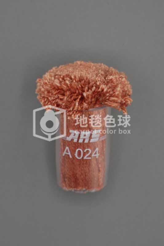 ARS A024